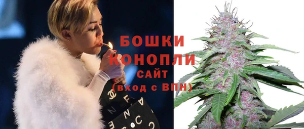 дживик Белокуриха