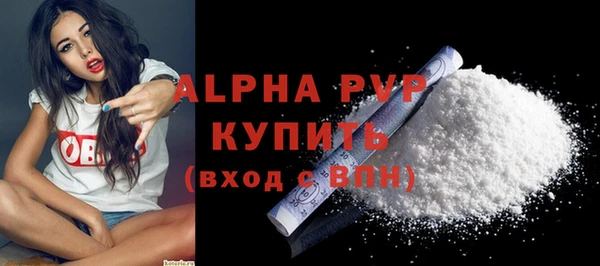 дживик Белокуриха