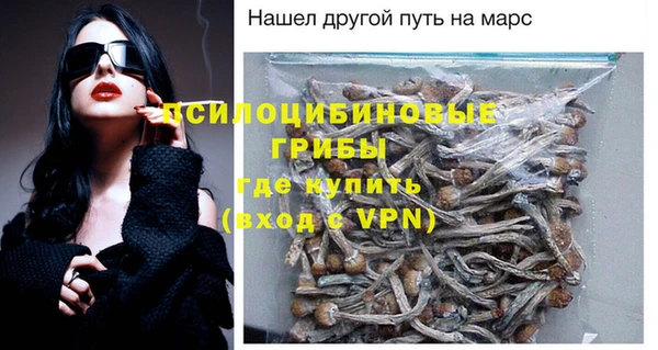 ПСИЛОЦИБИНОВЫЕ ГРИБЫ Беломорск