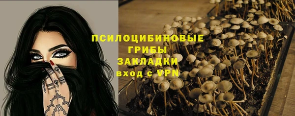 ПСИЛОЦИБИНОВЫЕ ГРИБЫ Беломорск