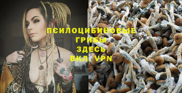 дживик Белокуриха